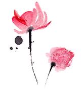 讲好山东故事短文,讲好山东故事视频