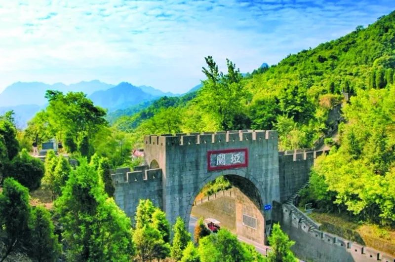 有了绿牌还能拥有大牌,有了绿牌再去拍蓝牌