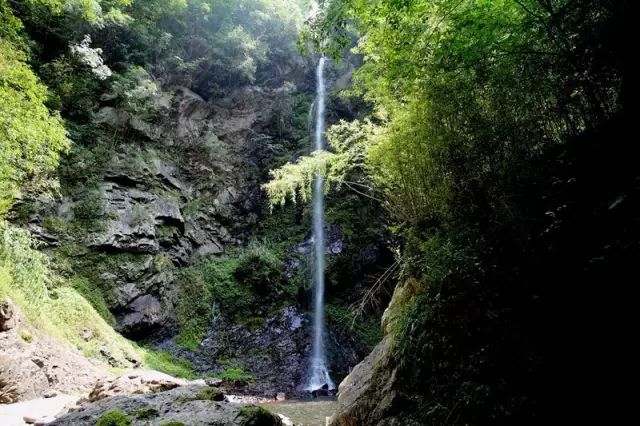 有了绿牌还能拥有大牌,有了绿牌再去拍蓝牌