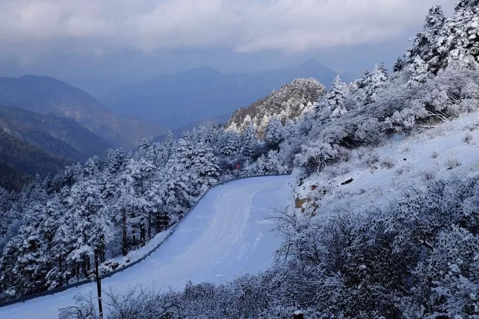 神农架国际滑雪场今日雪况,神农架滑雪场周末攻略
