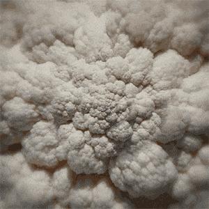 担心!这家哈达店的菜花紫甘蓝,那家地利生鲜的韭菜,还有这些家的菠菜油菜老黄瓜……丨13批次菜肉抽检腐霉利、毒死蜱检出不合格