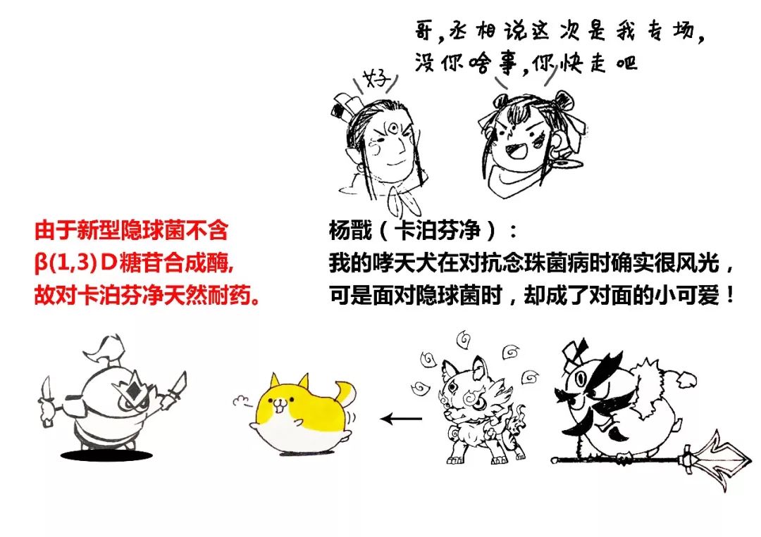 隐球菌病的封神榜,又实用又好玩!