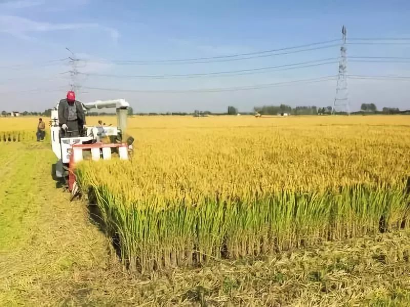 改革开放40年农村经济的变化,农村改革开放40年经济发展