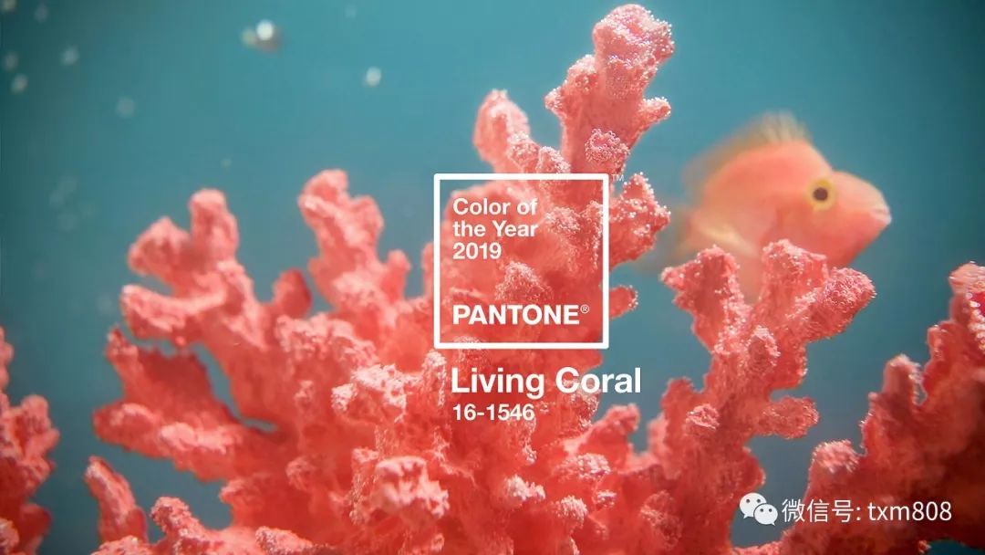 珊瑚橘和气质橘口红,珊瑚橘和橘红色口红