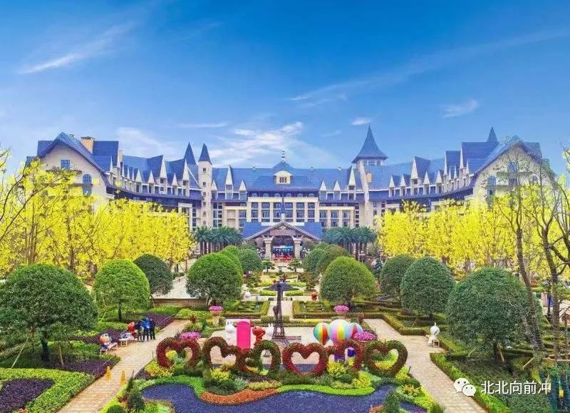 楚才名师讲堂,湖北楚才名师