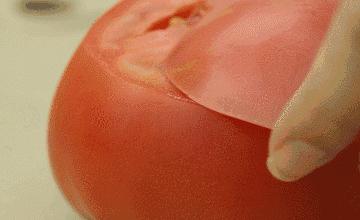 好物是要被发现的,好物让生活更美