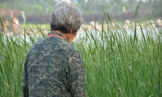 巴彦淖尔李军芳,内蒙李军芳