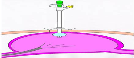 不能用嘴嚼直接吞的食物,不能用嘴喂宝宝吃饭
