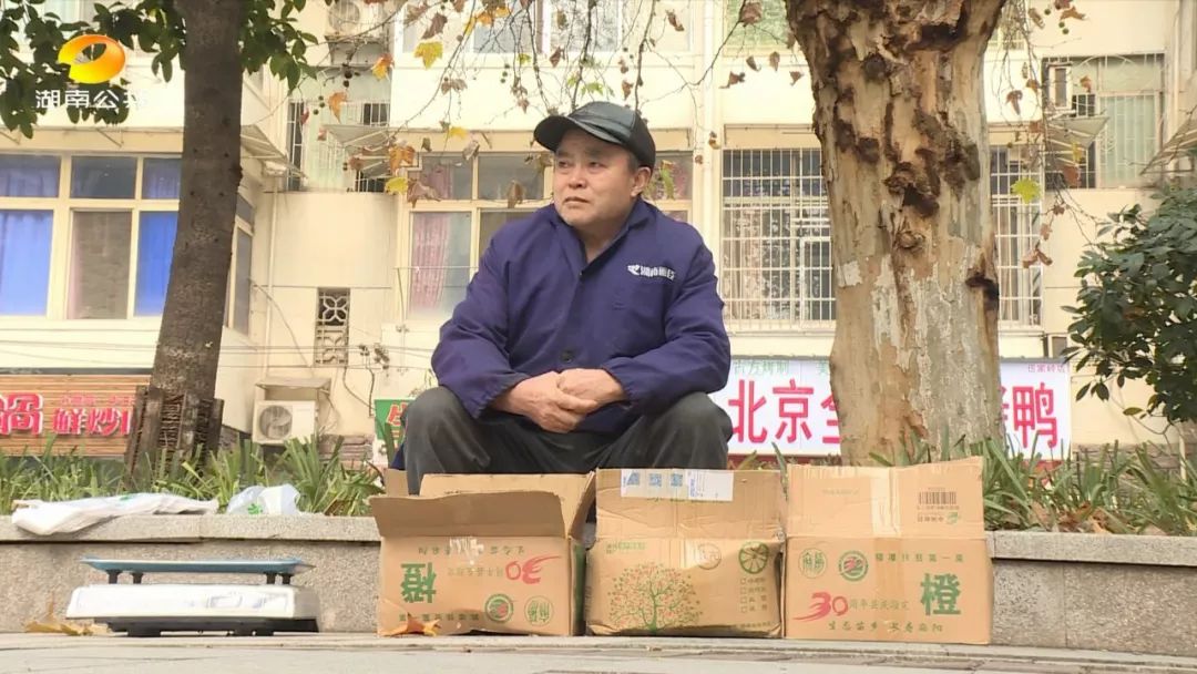 麻阳冰糖橙老人,怀化老人卖橙子