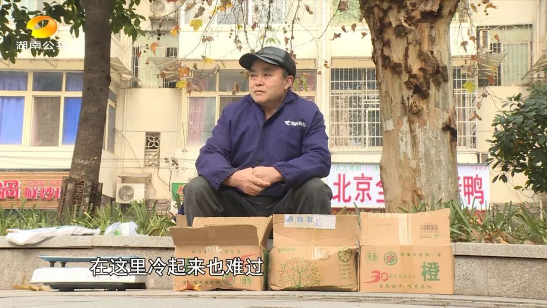 麻阳冰糖橙老人,怀化老人卖橙子