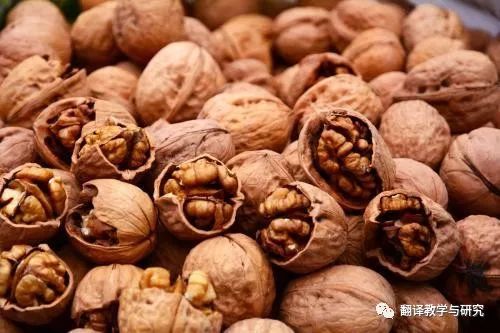 古代蔬菜水果传入中国的时间,各个朝代传入中国的蔬菜和水果