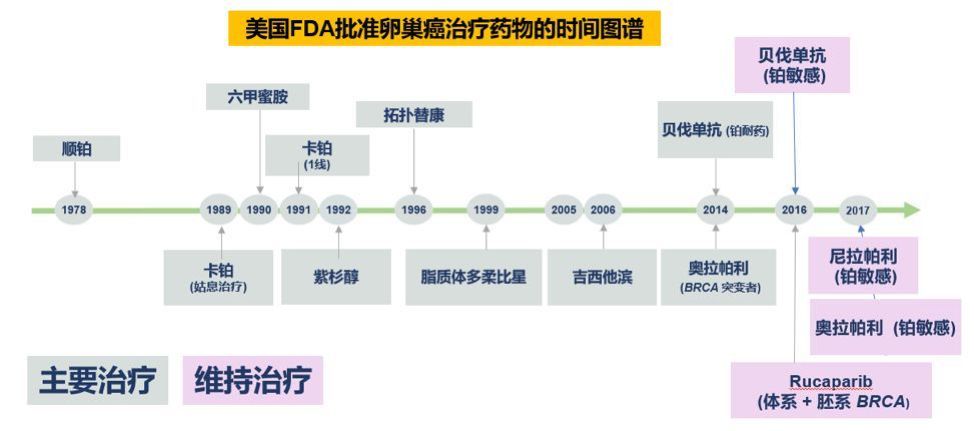 治疗卵巢癌的靶向药哪个列入医保,靶向药卵巢癌