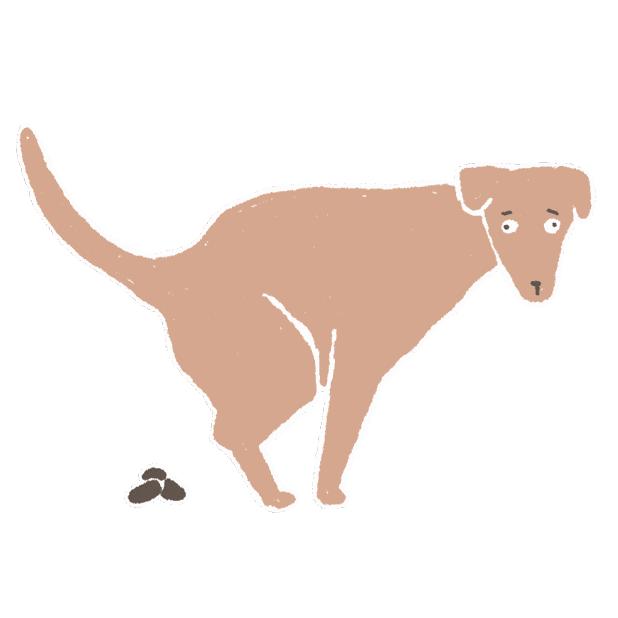 睡到半夜突然发现自己差点尿床,一醒来就感觉尿床了