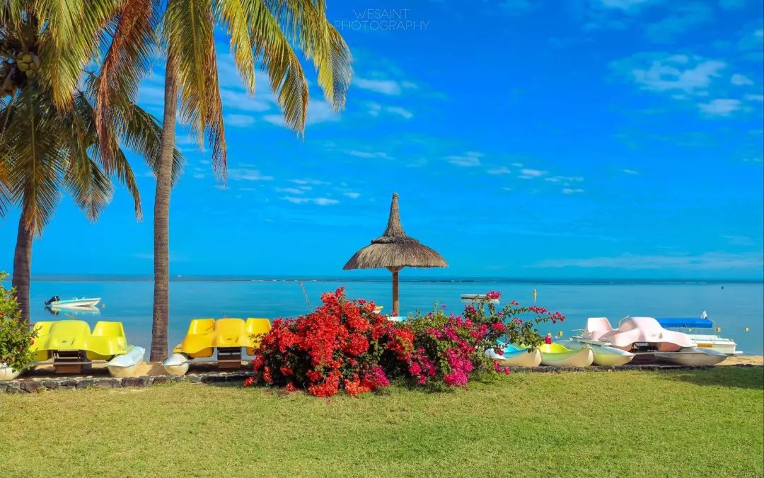 冬天又温暖又有很多美食的地方,冬天最幸福的事就是沐浴在阳光下