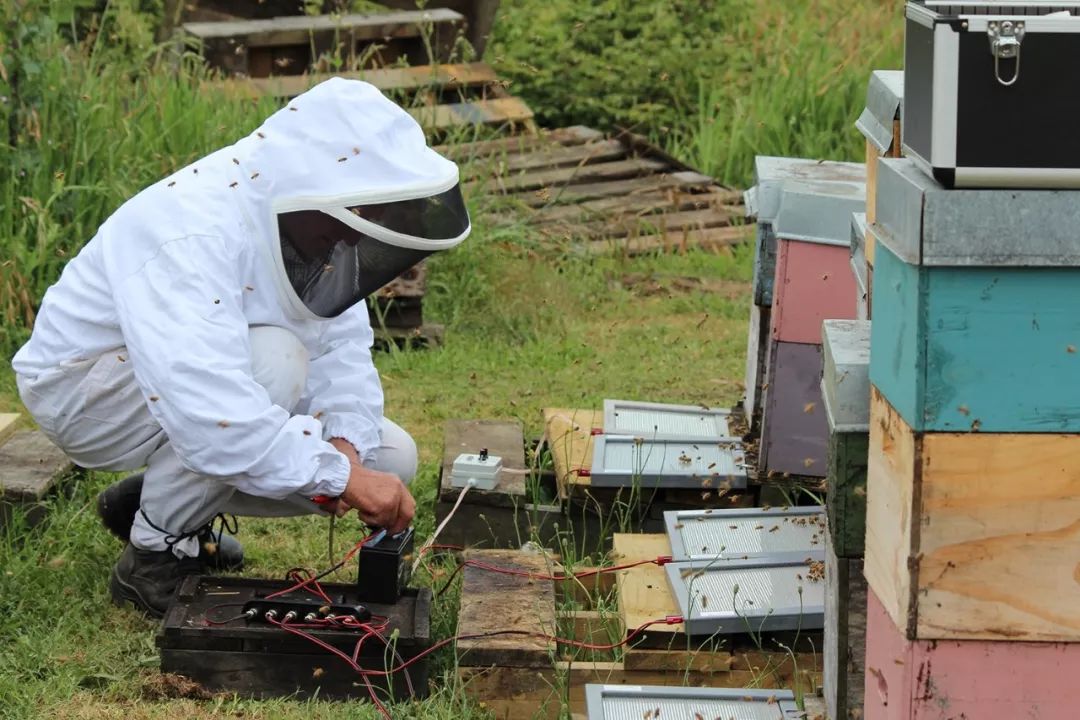 “钢铁直男”玩美妆？他从新西兰带回了最纯净的“颜值神器”，还撩到了火箭少女吴宣仪