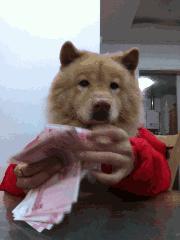 每日一笑你怎么知道的,每日一笑差距