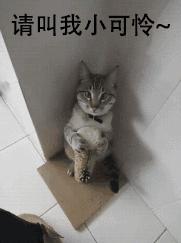 每日一笑你怎么知道的,每日一笑差距