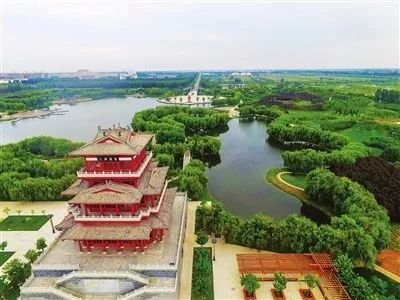 最新通报！衡水这些单位、小区获省级命名，看在你家旁边吗？