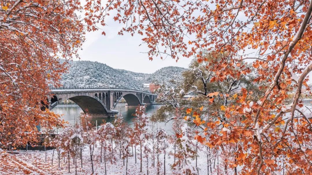 外省来洛阳政策最新通知,外地游客来洛阳旅游优惠政策
