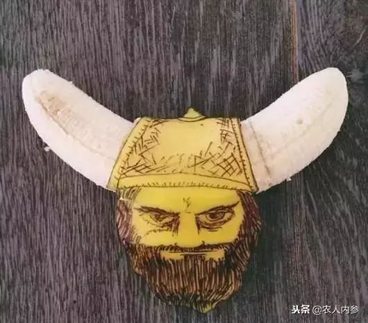 农业与艺术,农业可以很艺术