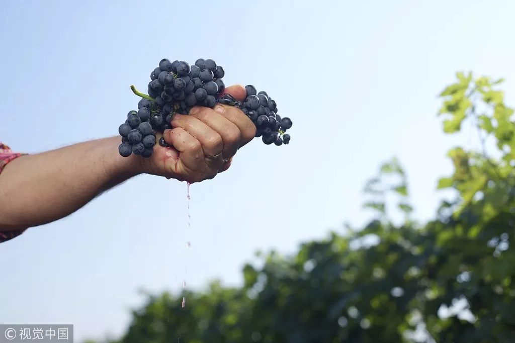 涔虫埧琚垏闄ょ殑妗堜緥,鍒囬櫎涔虫埧妗堜緥