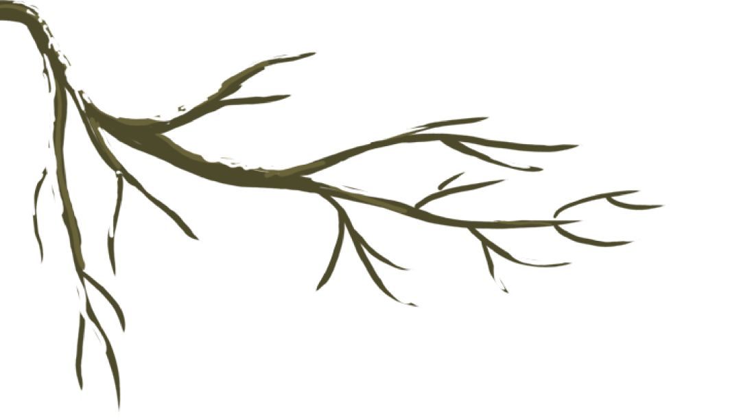 拉皮条坐牢有必要吗,拉皮条怎么才不能够定罪