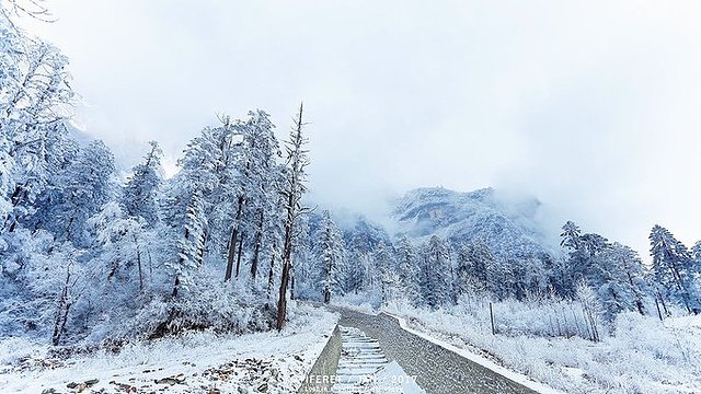 抖音十大热门旅行目的地,抖音十大热门旅行目的地公布