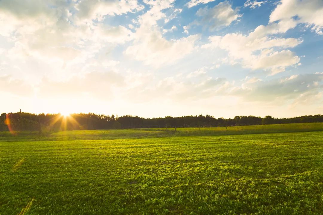 晨读丨真诚待人，好运自会降临