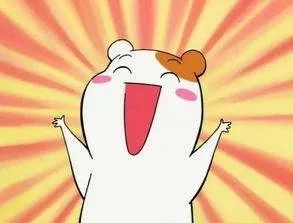 孝感黄香路修建最新视频,孝感黄香路小学是重点小学吗