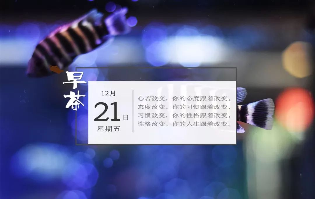 香港购买药品注意事项,香港买的几种好药