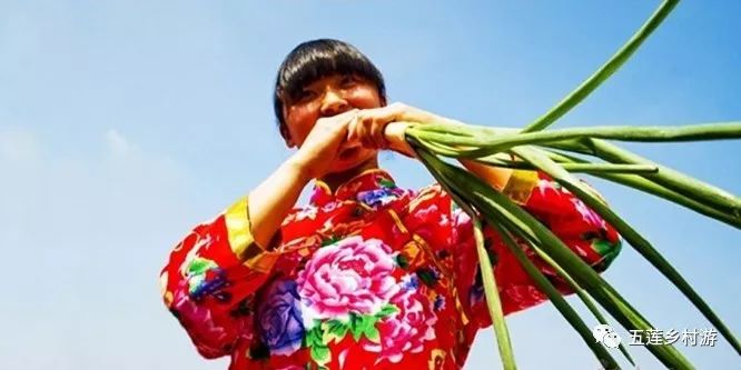 假如给日本人一块饼他会怎么样,五莲煎饼纯手工怎么做出来