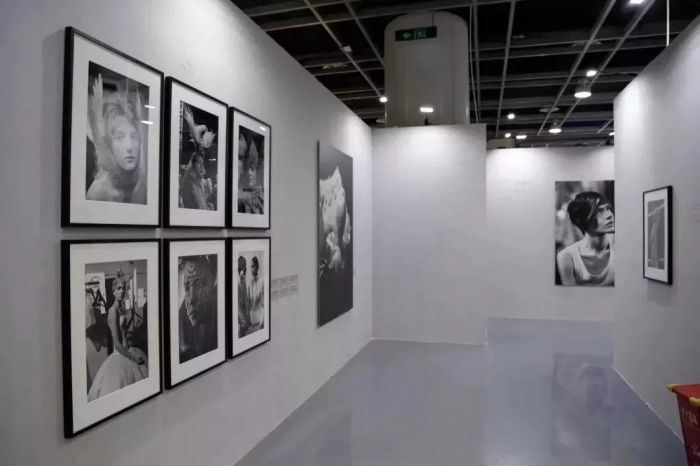 闪电麦昆的视频,麦昆现在的消息