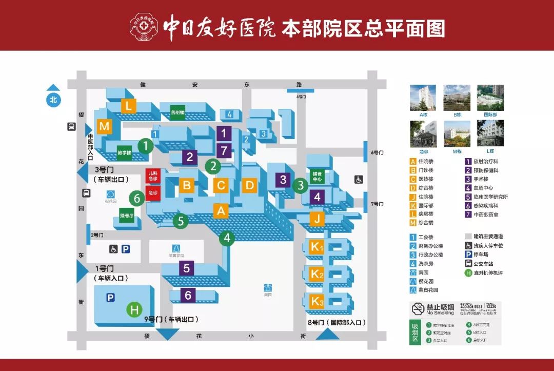 燕麦科普知识,燕麦麸皮科普视频