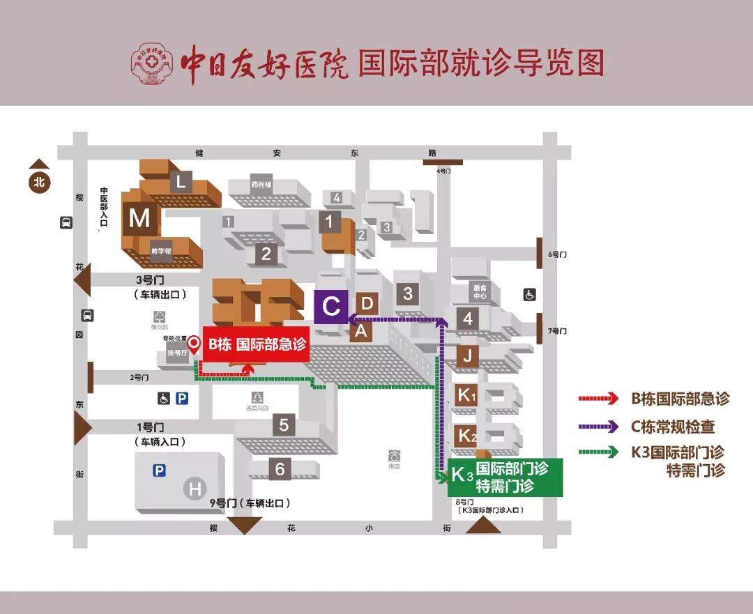 日本老年人家居预防跌倒,老年人预防跌倒小品