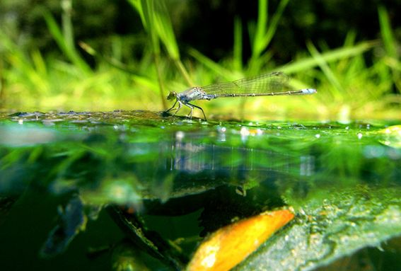 他做了15年自然测量员，只为得到更好的荒野