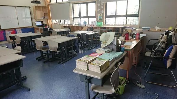 广州十大最好国际小学排名,广州小学课本的收藏