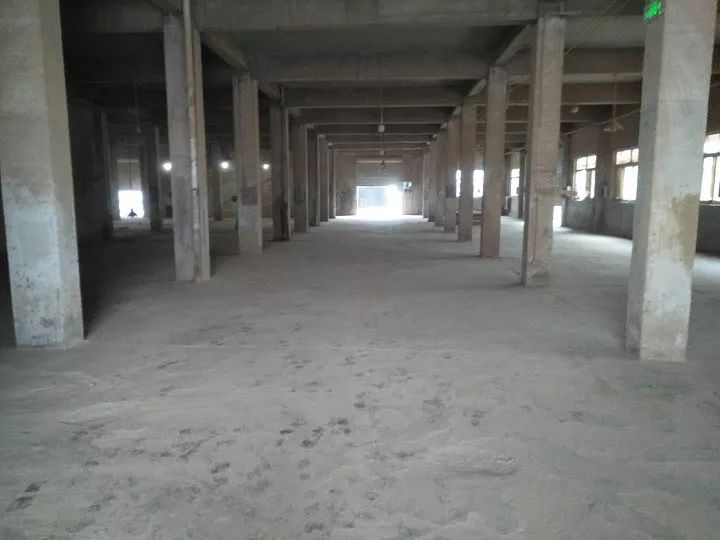 双月攻坚专项行动,每周时政播报