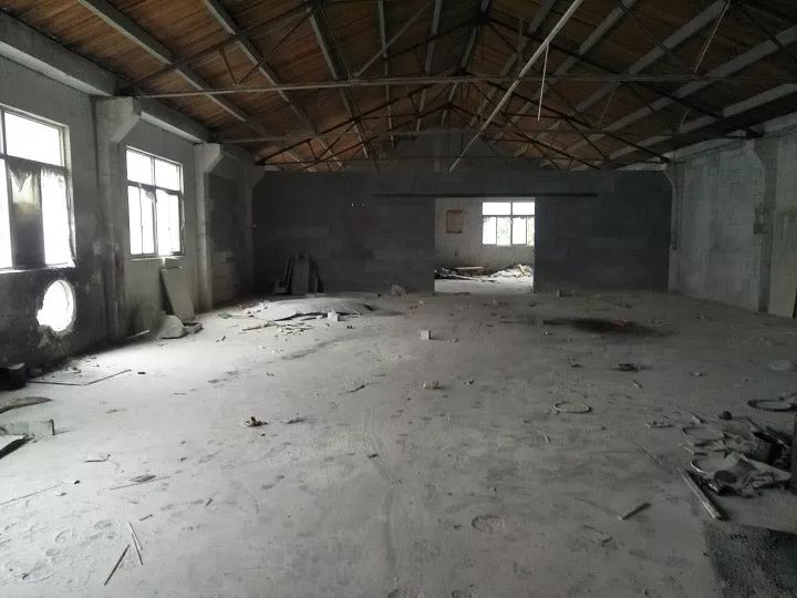 双月攻坚专项行动,每周时政播报