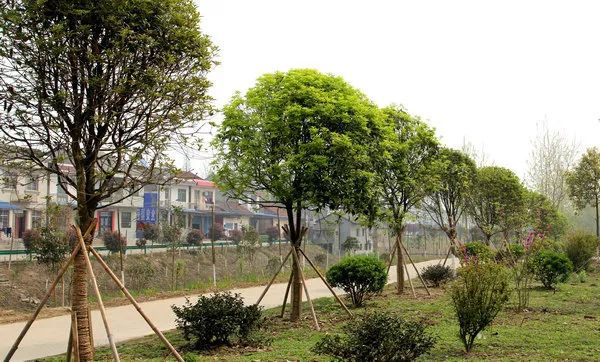 湖北稳增长133项措施,荆州洪湖2019年上半年gdp