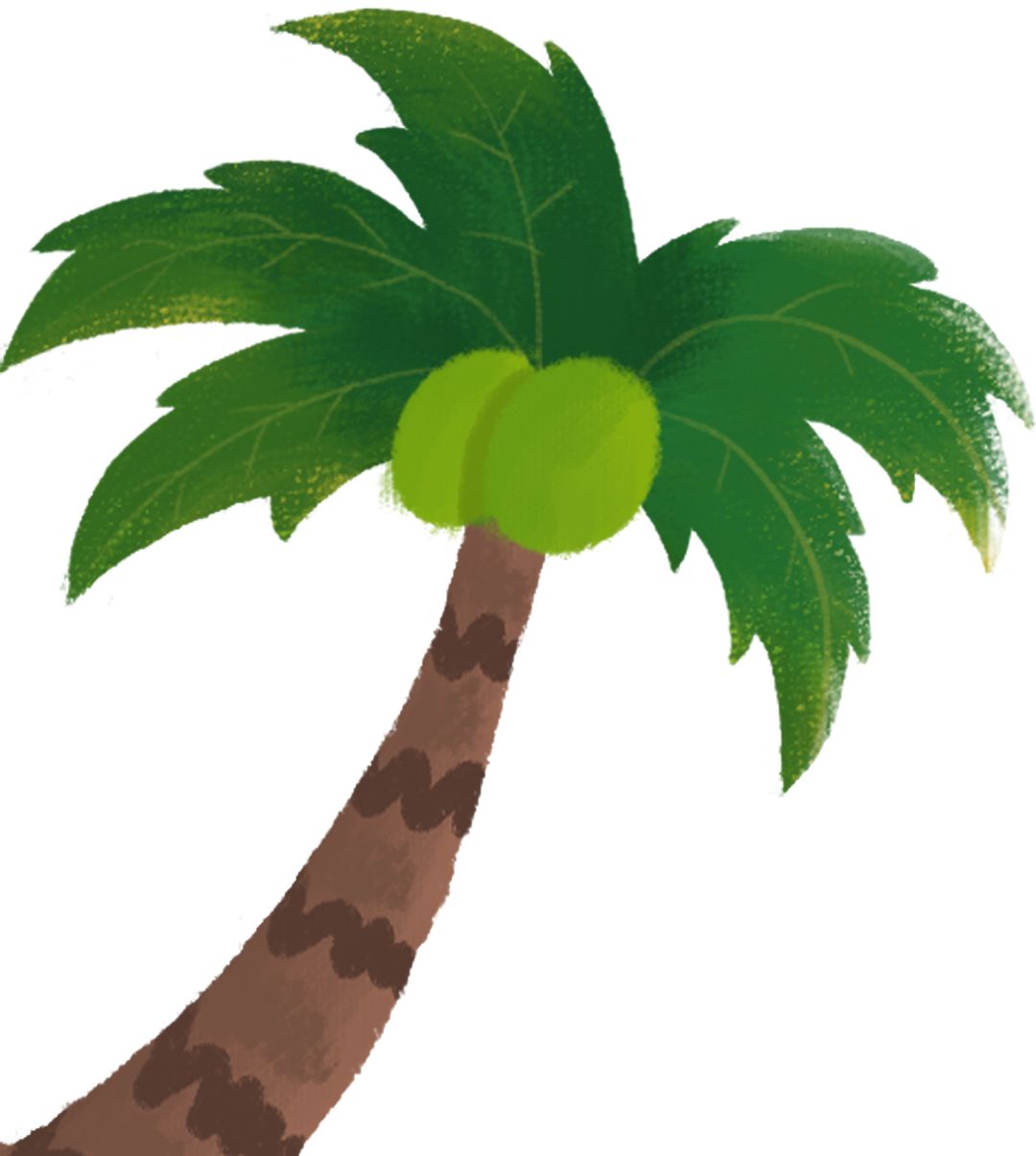 援外纪事｜回声嘹亮，我们在萨摩亚（一）——身兼工程师的耳鼻喉专家