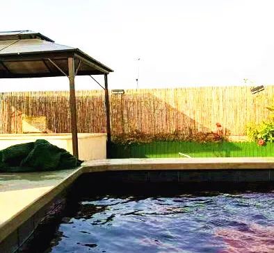 上海闵行哪里泡汤最好,闵行区适合泡汤的地方