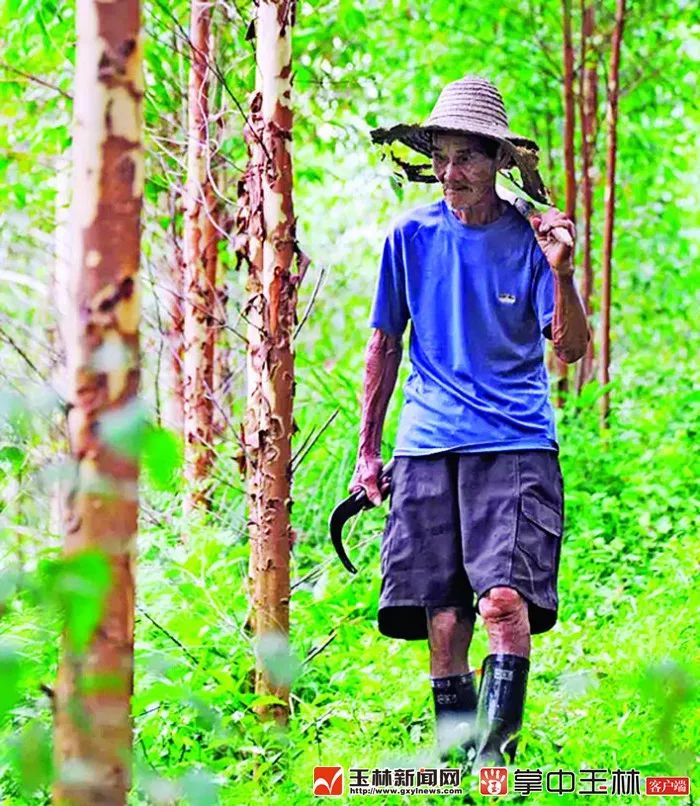 你真的了解博白吗?来了解一下!