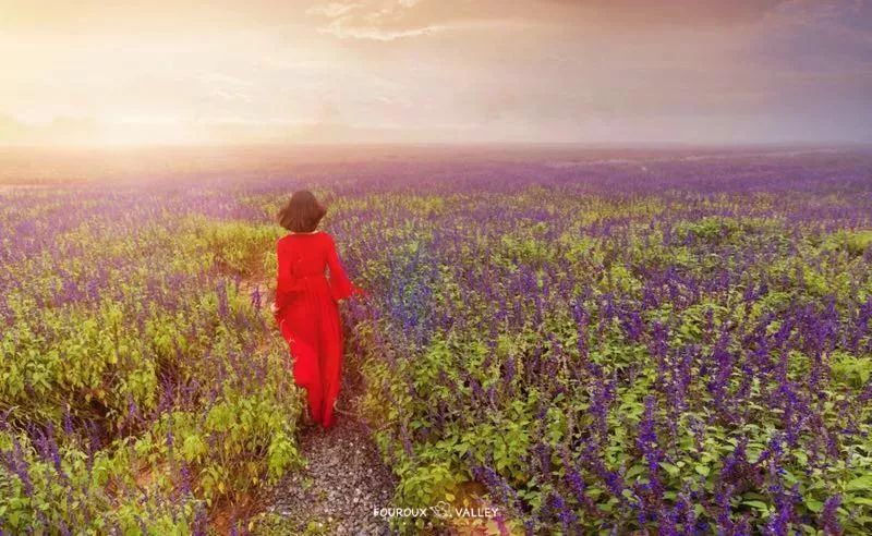 你还不知道乡村旅游吗,你还不知道哪些地方好玩