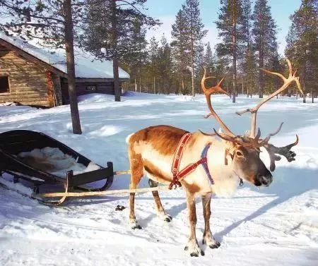 平安夜去哪里玩浪漫,平安夜圣诞节带孩子去哪玩