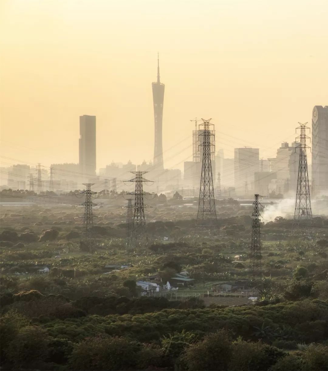 什么是广州市区,什么是桃子女孩