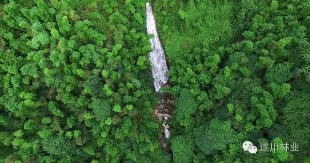 遂川家乡好风光,遂川县有哪些美景