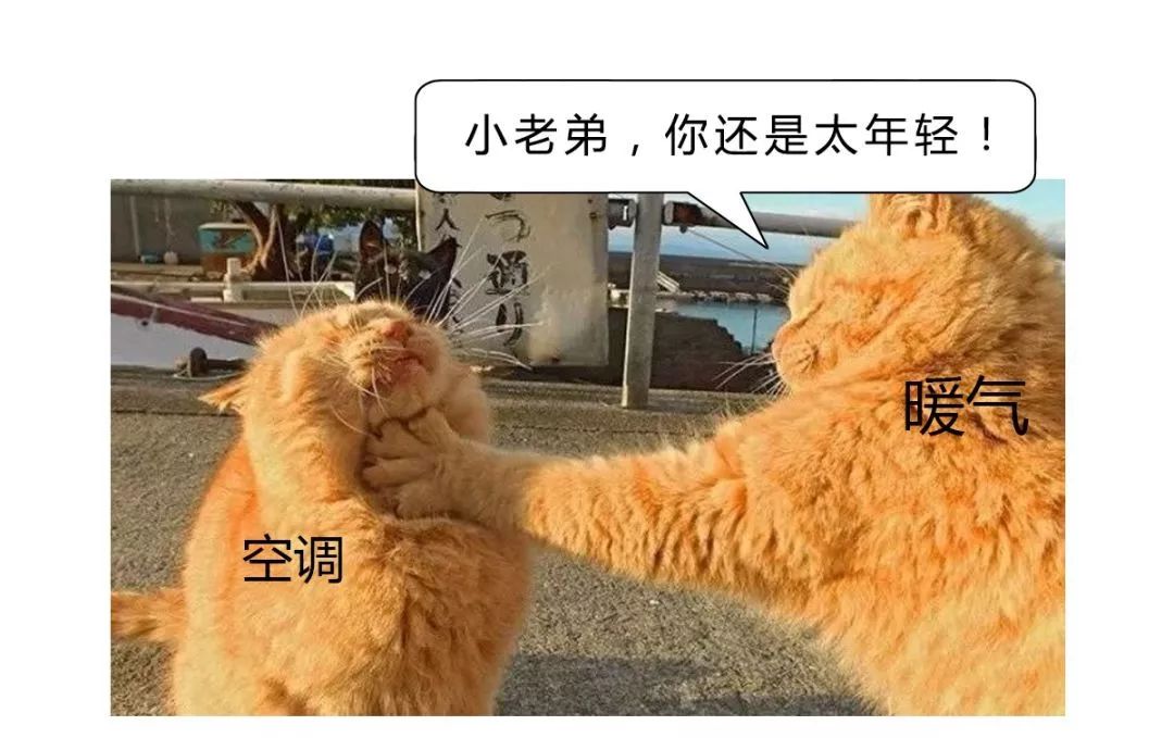 暖气里面有气为何就不热,暖气里有没有气怎么知道