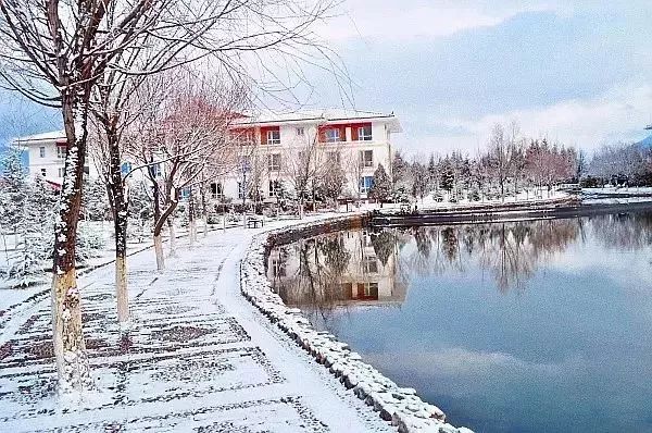 丽江在世界排名第一的大学,想想就激动