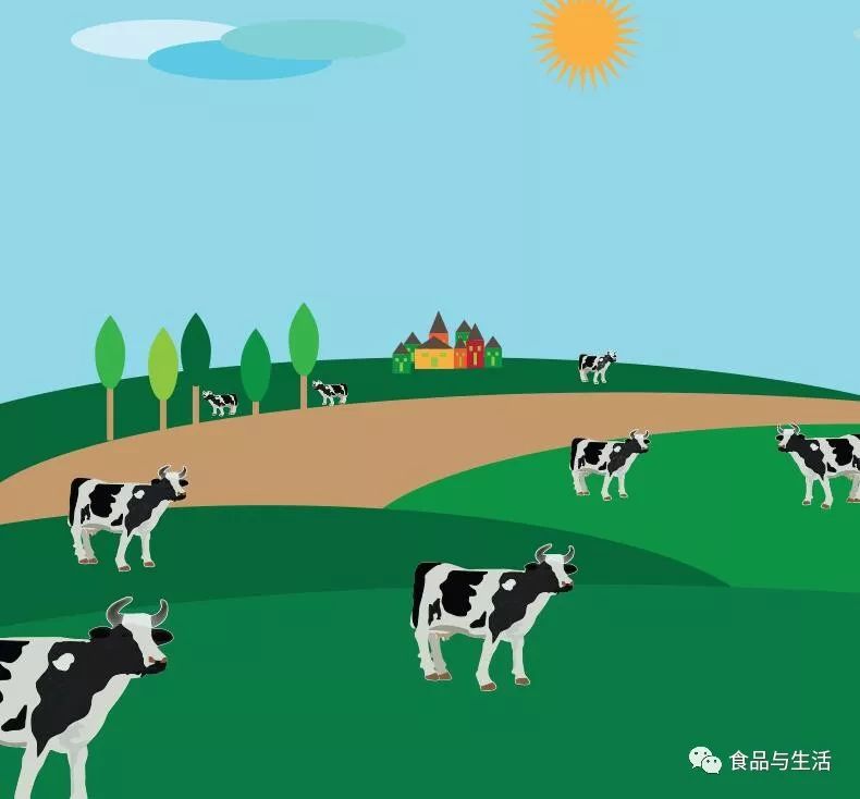 牛奶2a是什么意思,a2奶2段有香兰素吗