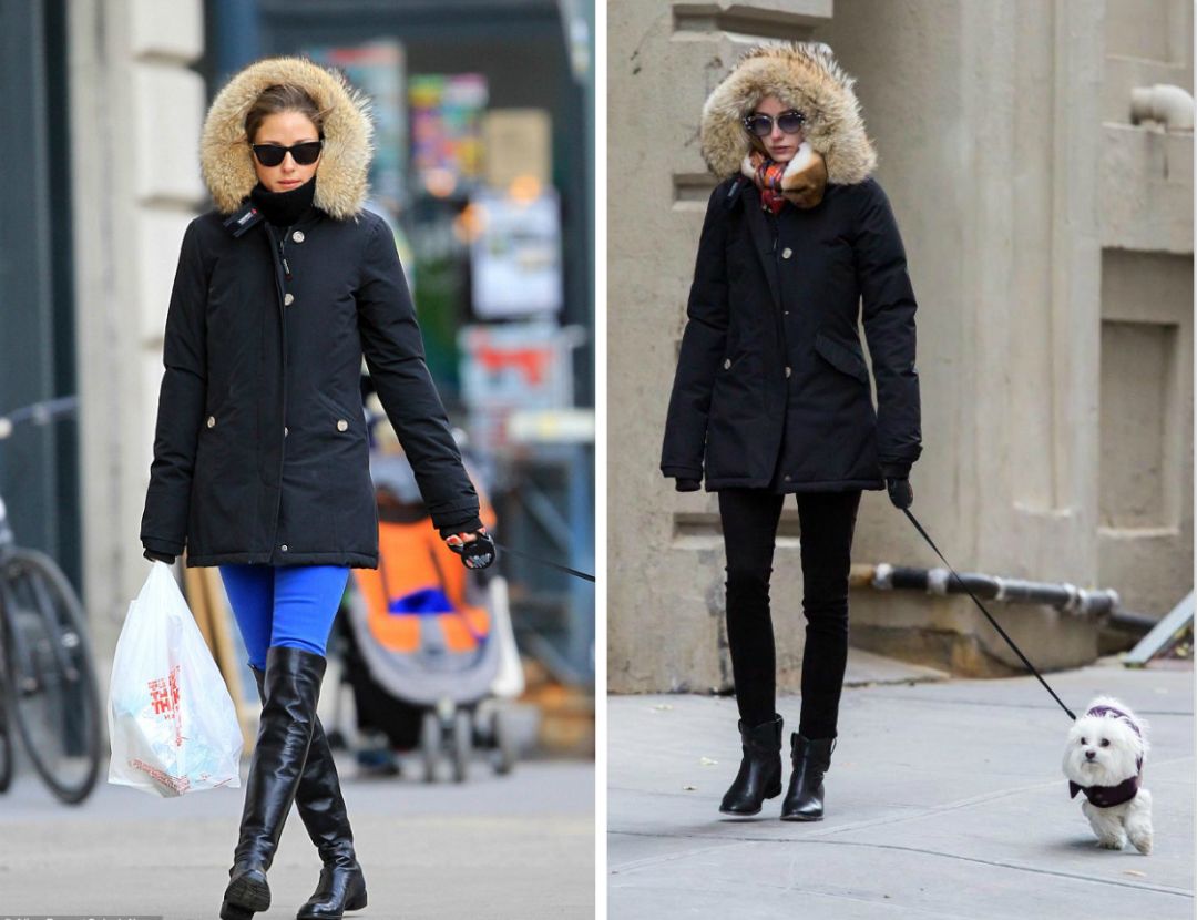 小雀斑埃迪雷德梅尼穿波司登,小雀斑埃迪雷德梅尼身穿波司登